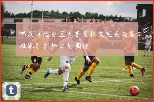吧友评选分区决赛最拉奖究竟花落谁家引发热议与期待